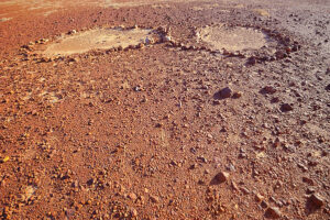 The Sturt Stony Desert